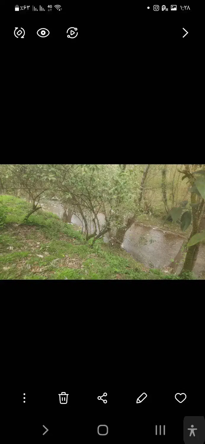 اجاره زمین باغی برای گلکاری و پرورش گل|اجارهٔ دفتر صنعتی، کشاورزی، تجاری|چابکسر, |دیوار