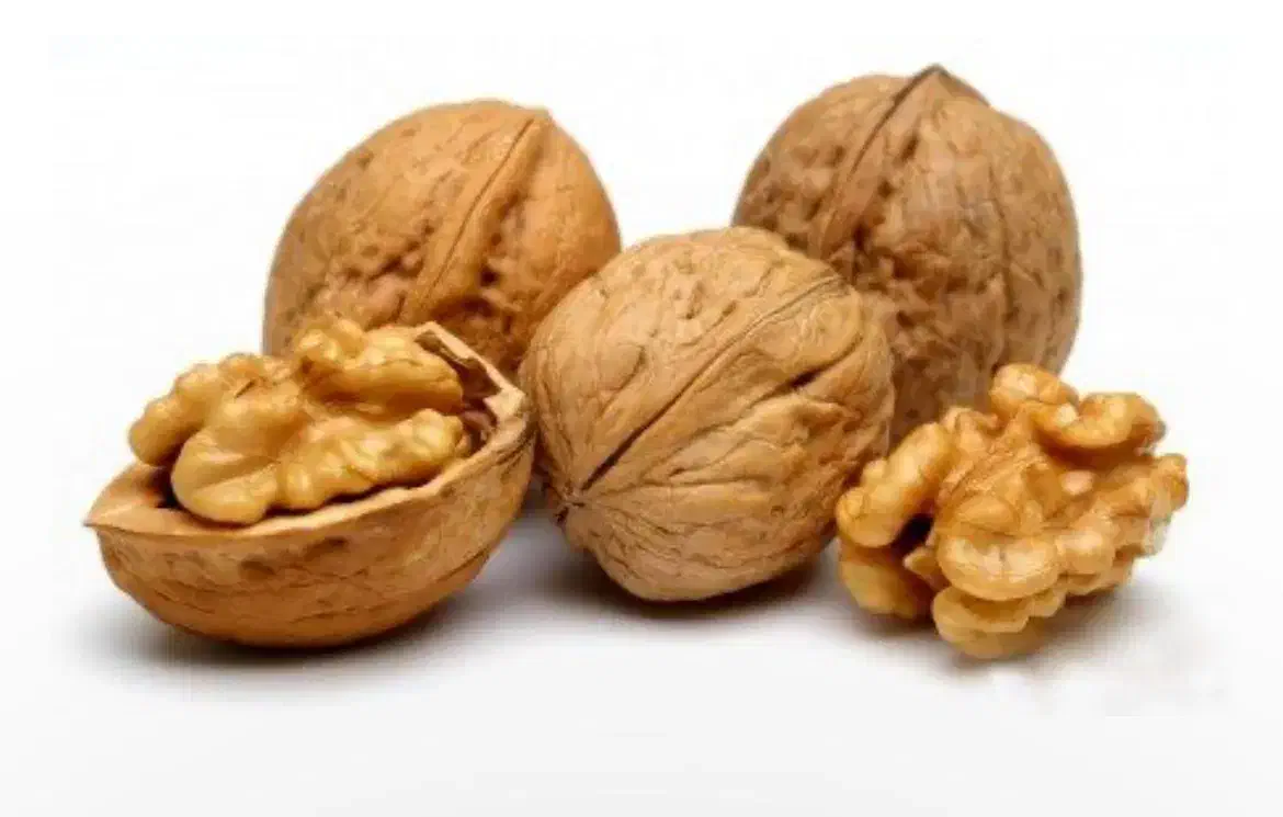 گردو امسالی تازه|خوردنی و آشامیدنی|خوانسار, |دیوار