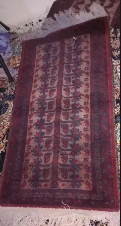 قالیچه دسباف قدیمی|پادری|پاکدشت, حصار امیر|دیوار