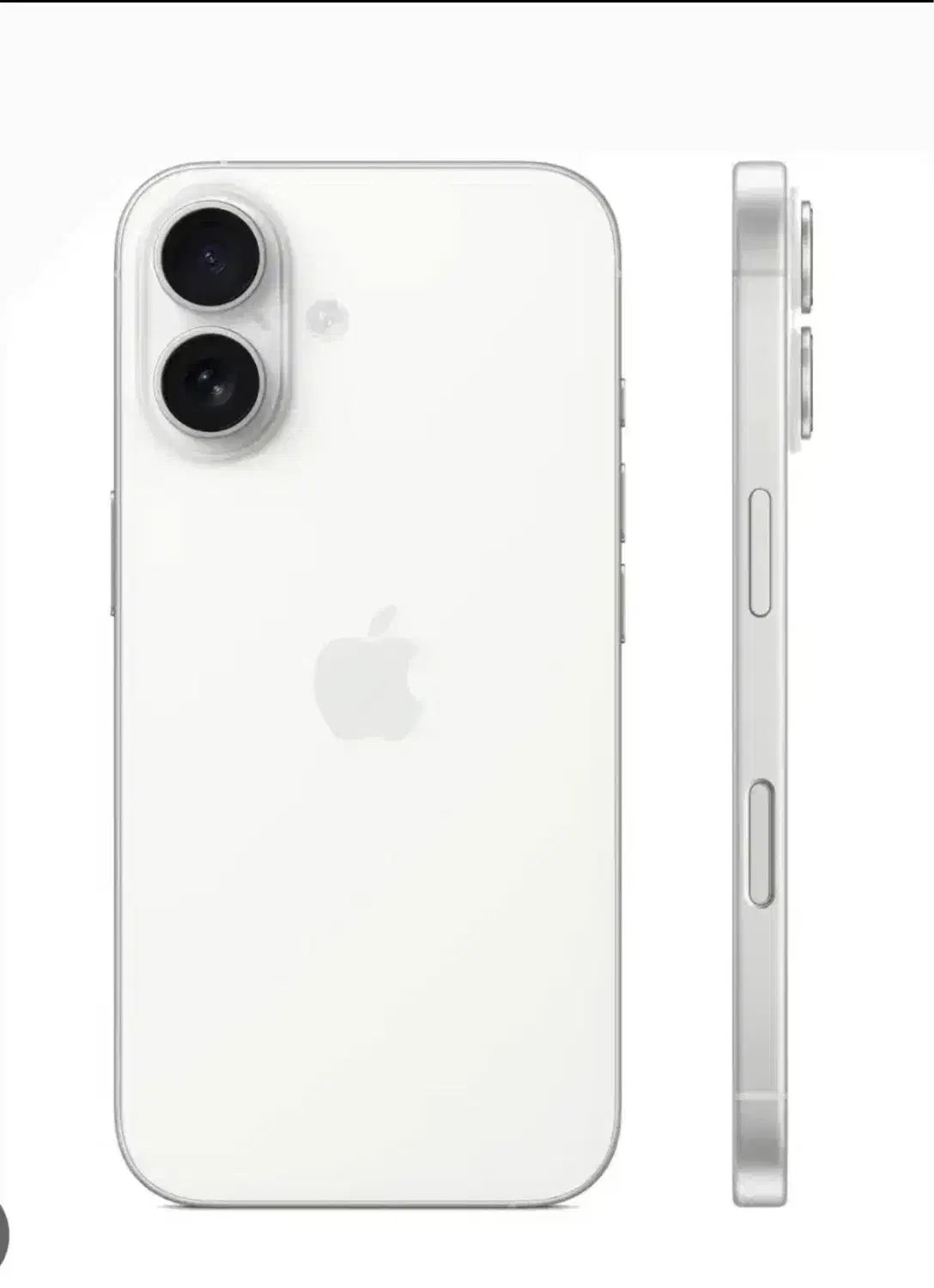 ایفون ۱۶ نرمال سفید|موبایل|قم, بکایی|دیوار