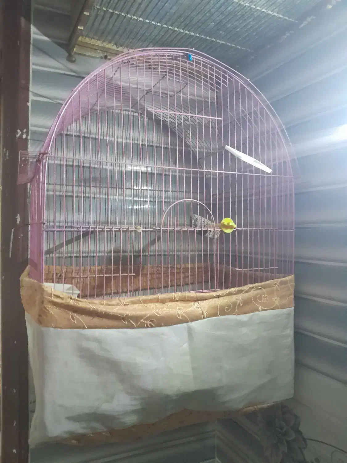 قفس بزرگ دوعدد|لوازم جانبی حیوانات|سرپل ذهاب, |دیوار