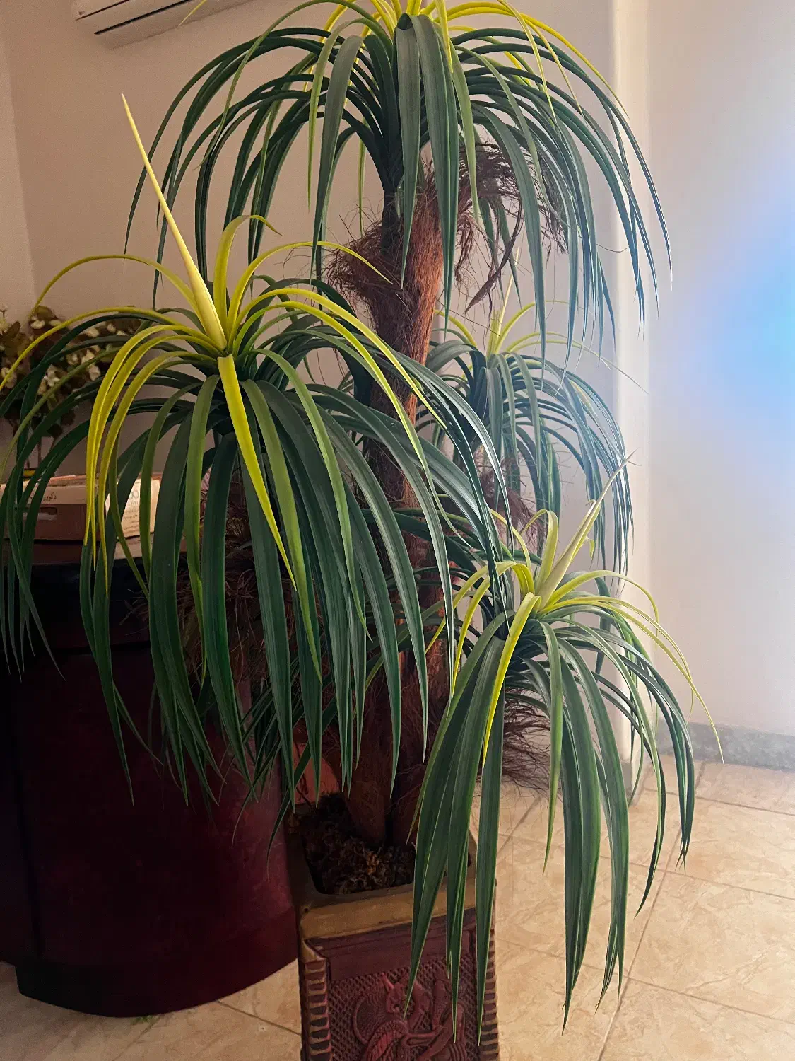 درختچه مصنوعی و گل|گل مصنوعی|بابل, |دیوار