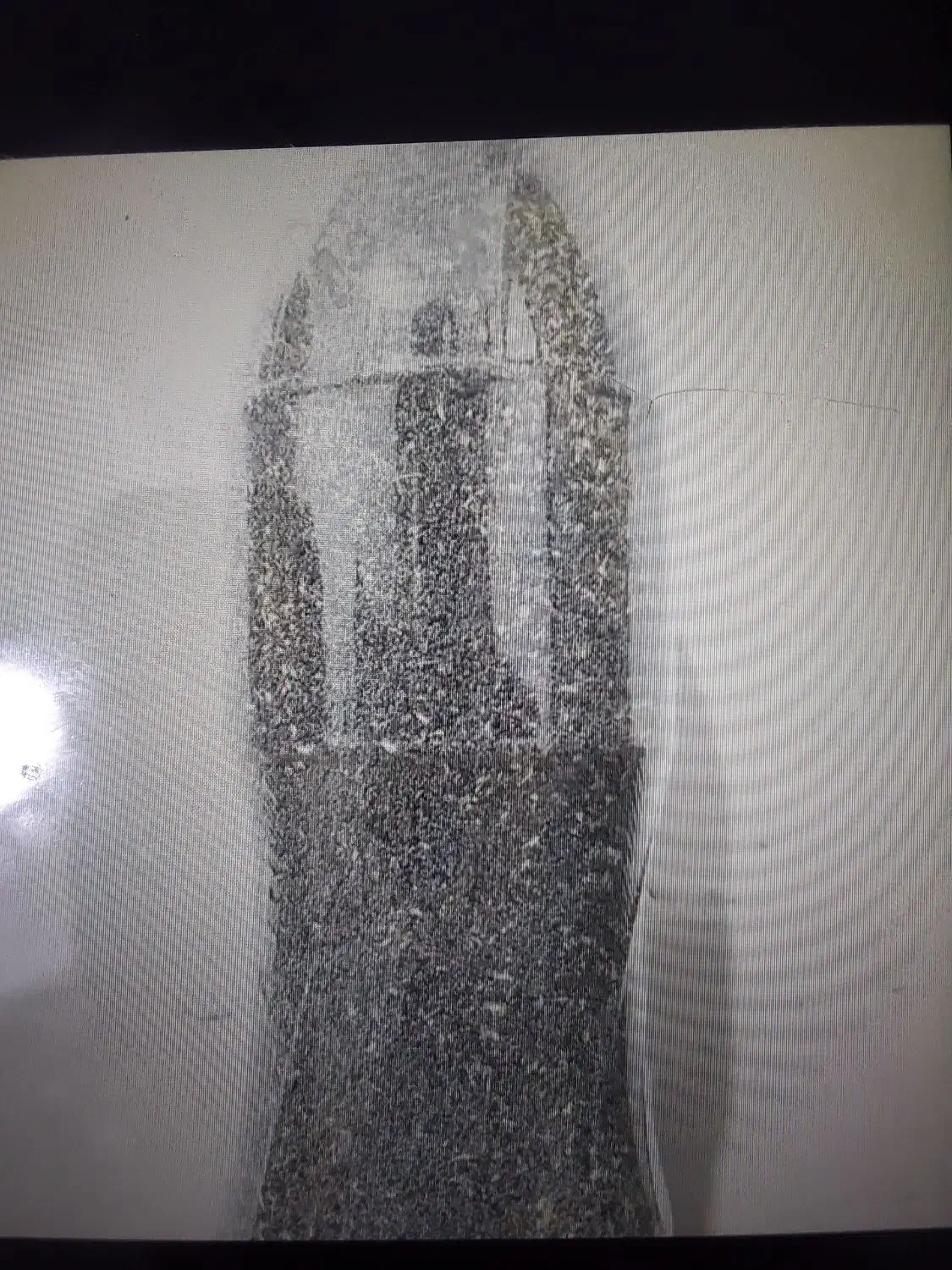 گیاه دارویی|گل و گیاه طبیعی|نورآباد, |دیوار