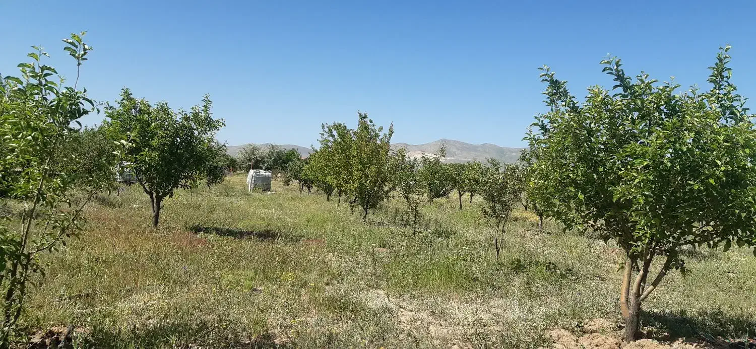 باغ شهر پردیس عباس آباد1000متری|فروش زمین و ملک کلنگی|سلطانیه, |دیوار