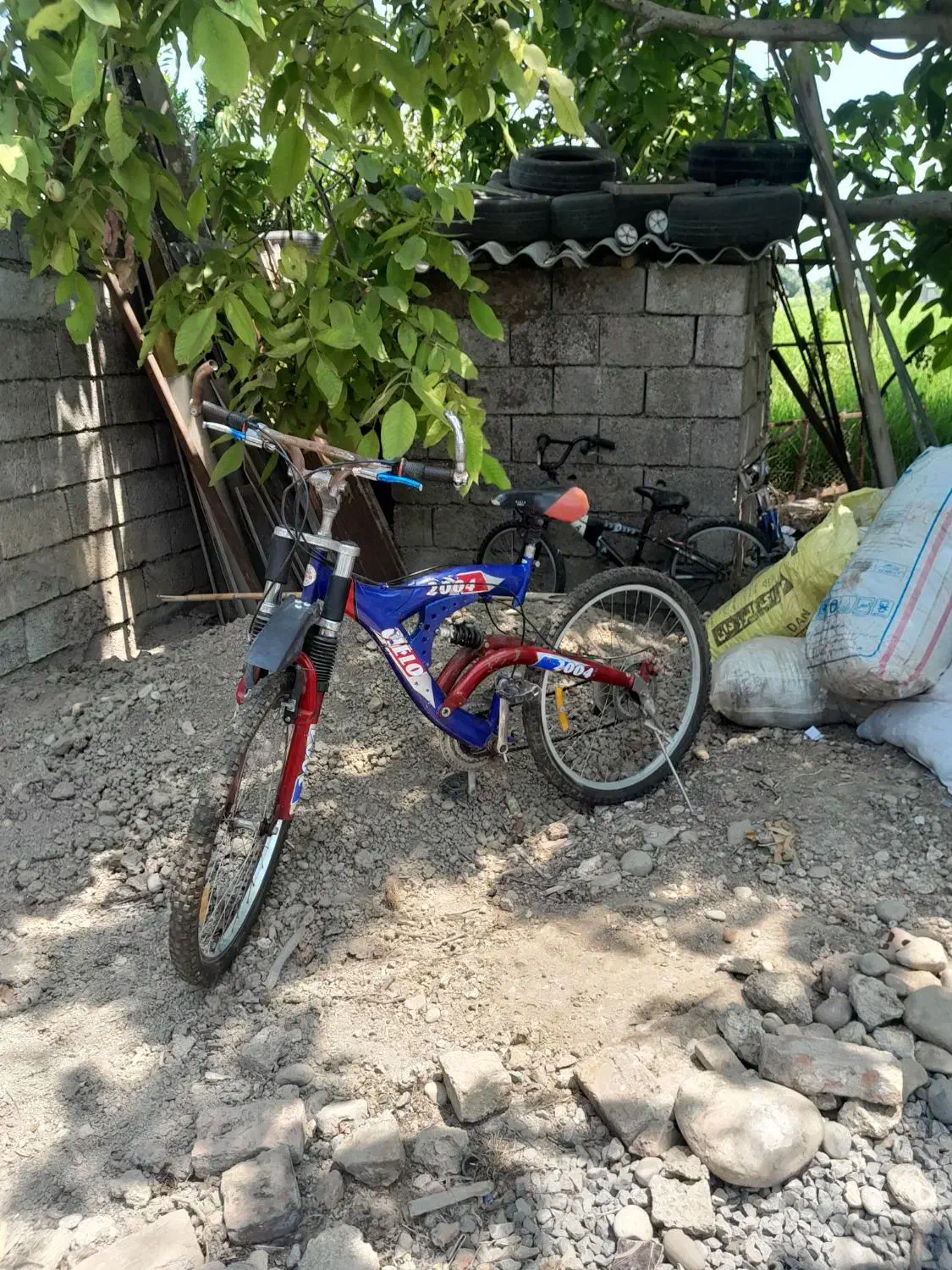 دوچرخه آبی قرمز|دوچرخه، اسکیت، اسکوتر|قائمشهر, |دیوار