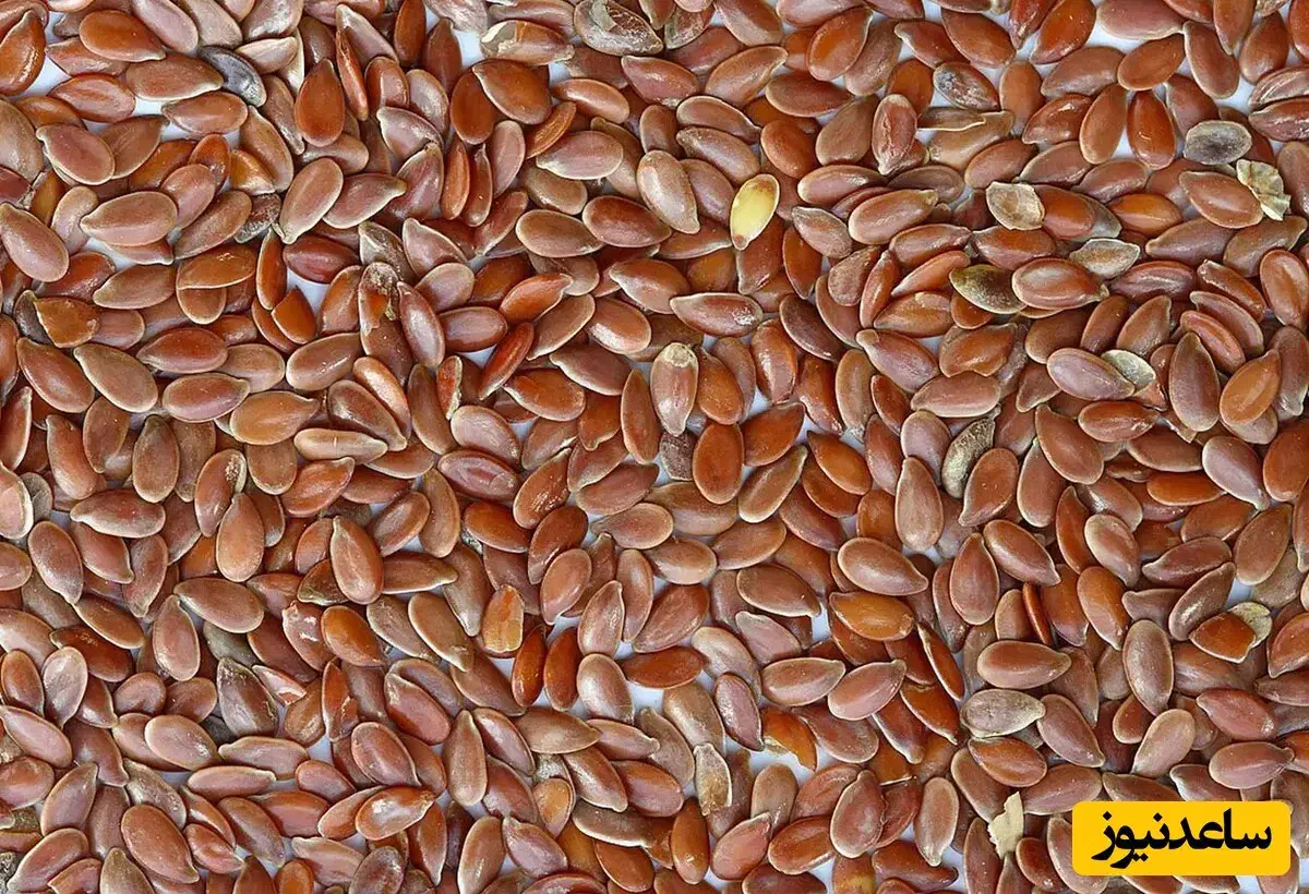 قزل زی رک|خوردنی و آشامیدنی|آبش احمد, |دیوار