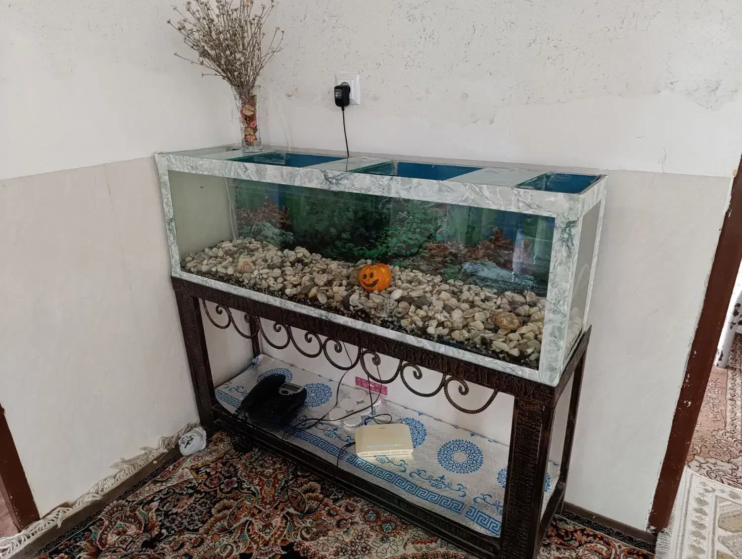 آکواریوم با وسایل|ماهی|سپیدان, |دیوار