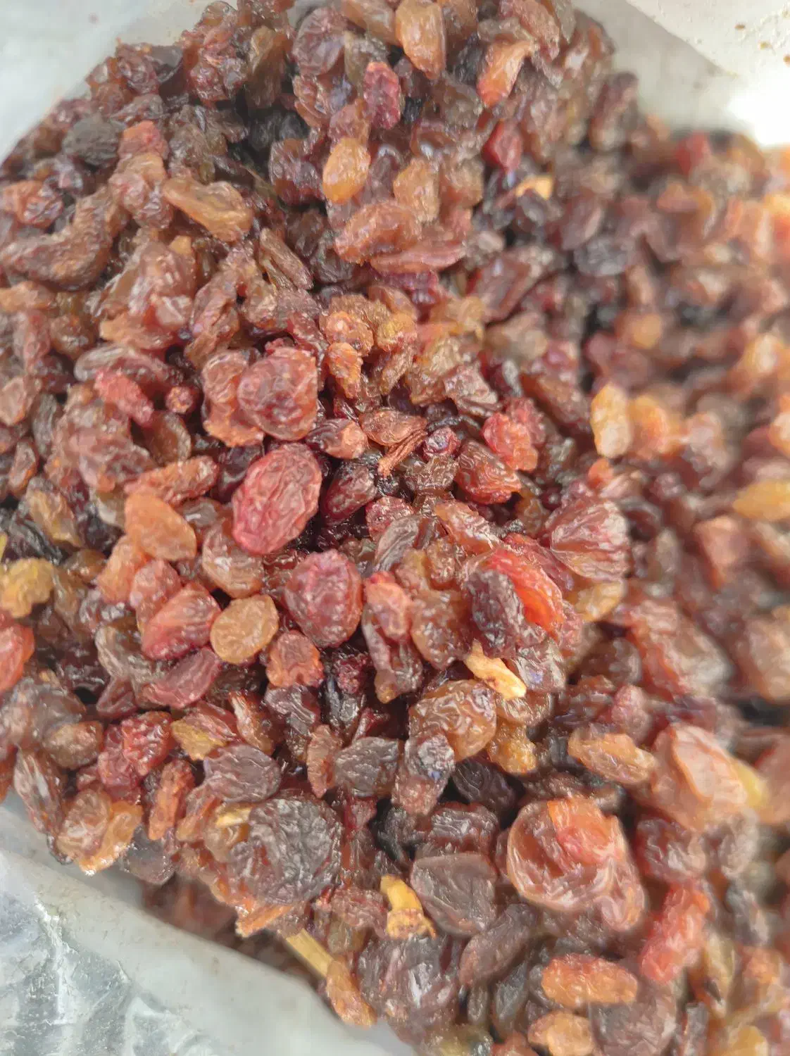 کشمش آفتابی بیدانه|خوردنی و آشامیدنی|بجنورد, |دیوار