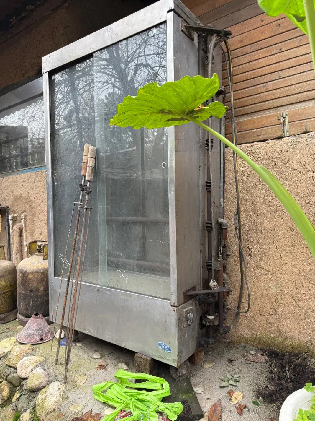 فروش جوجه گردان ۶ سیخه کارکرده|کافی‌شاپ و رستوران|چالوس, |دیوار