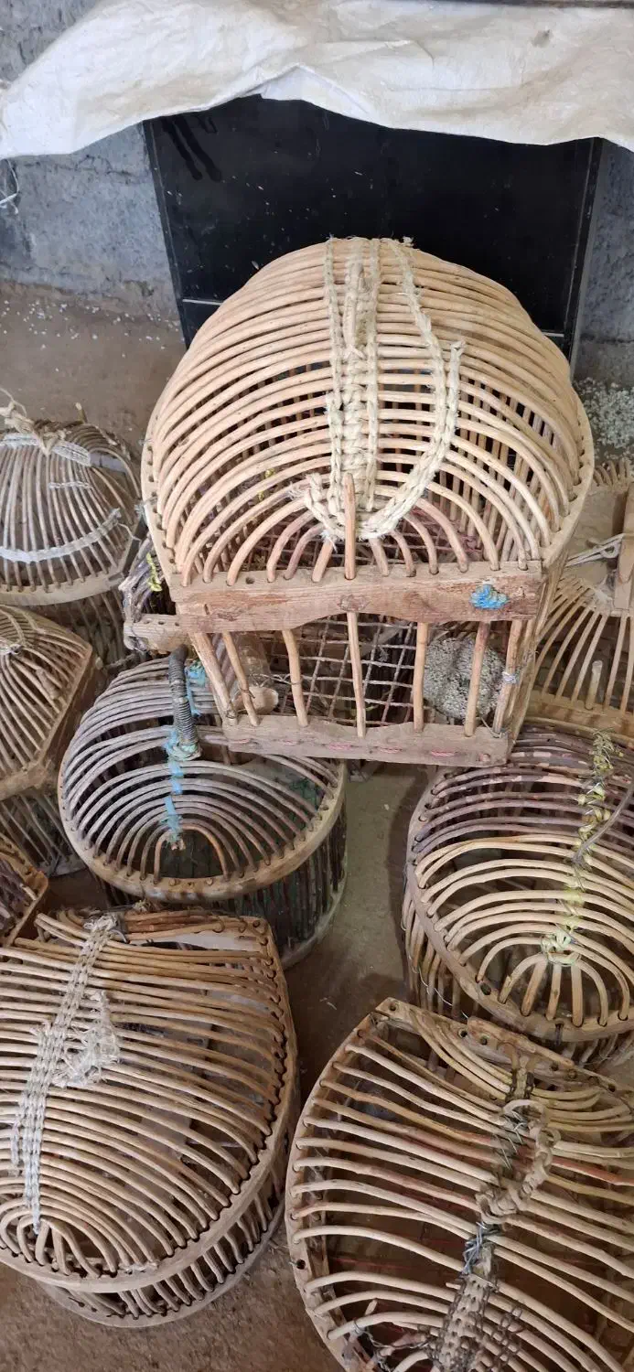 قفس فروشی|لوازم جانبی حیوانات|جوانرود, |دیوار