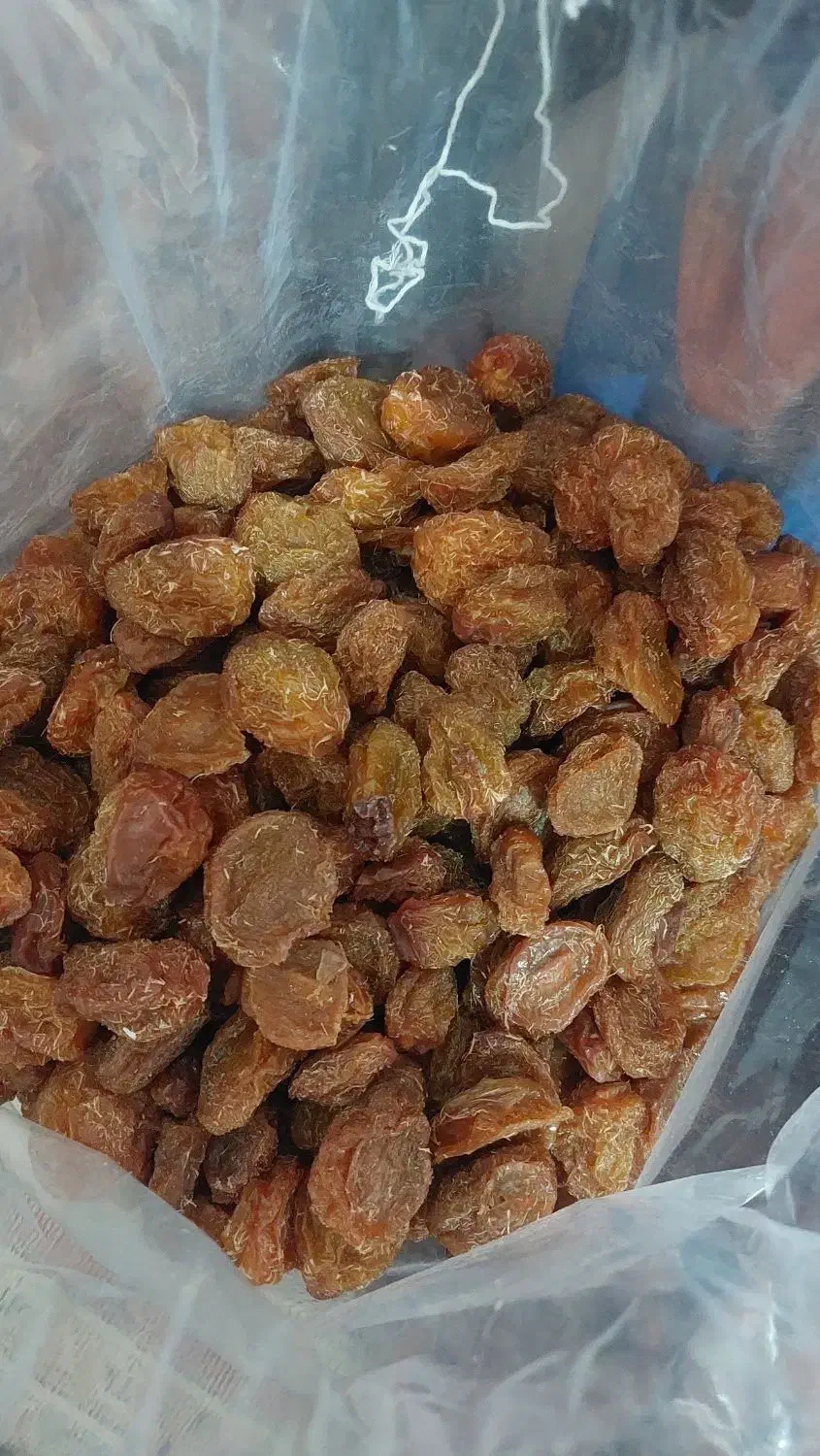 الوبخارا بوانات|خوردنی و آشامیدنی|شیراز, مسلم|دیوار