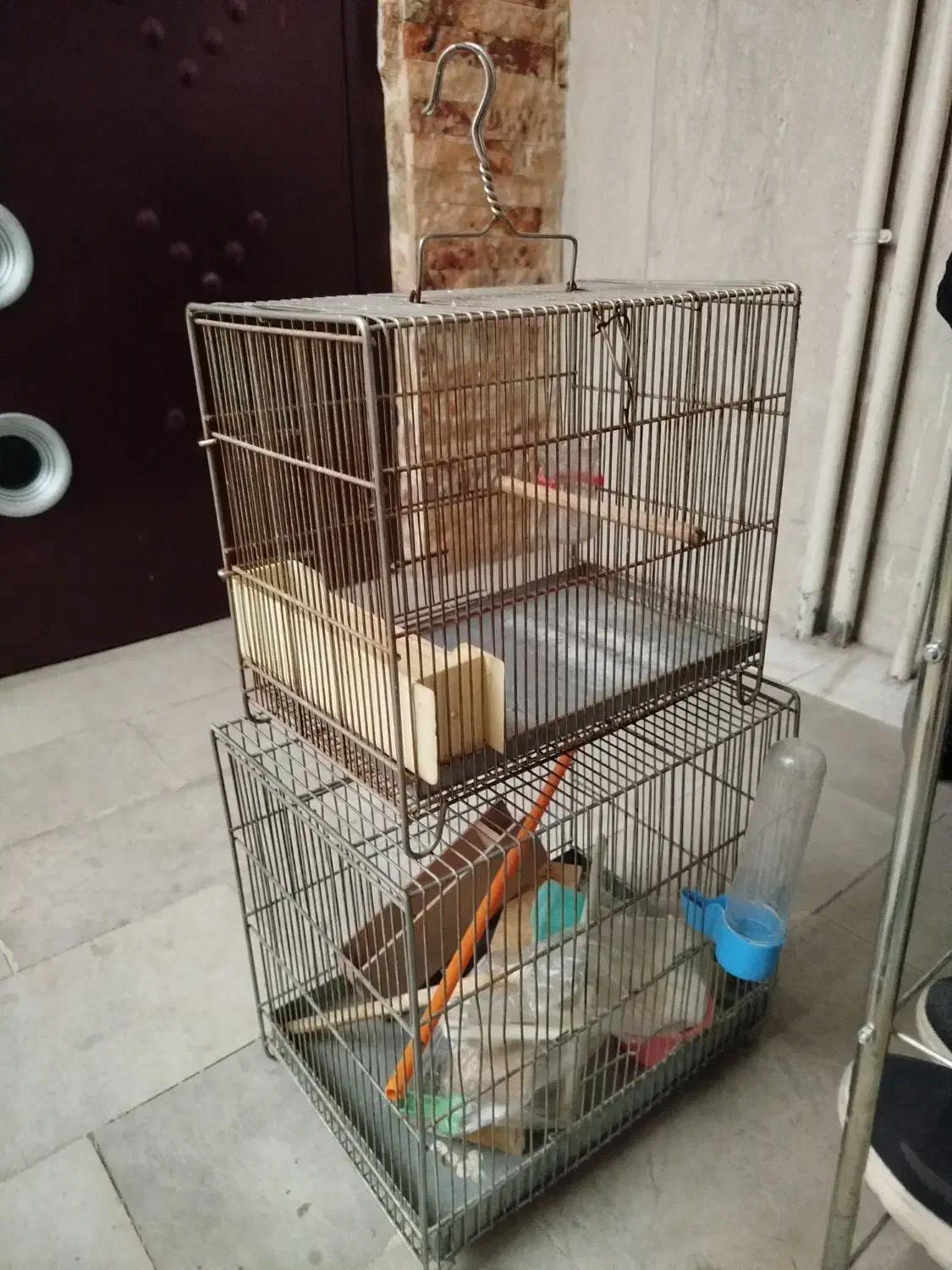 قفس پرنده|لوازم جانبی حیوانات|اراک, |دیوار