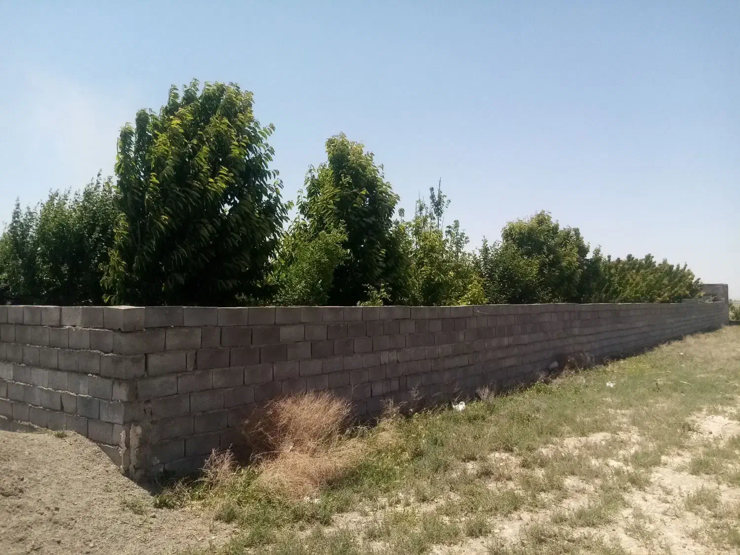 زمین باغی ویلایی و مناسب گلخانه|فروش زمین و ملک کلنگی|گلبهار, نوبهار|دیوار