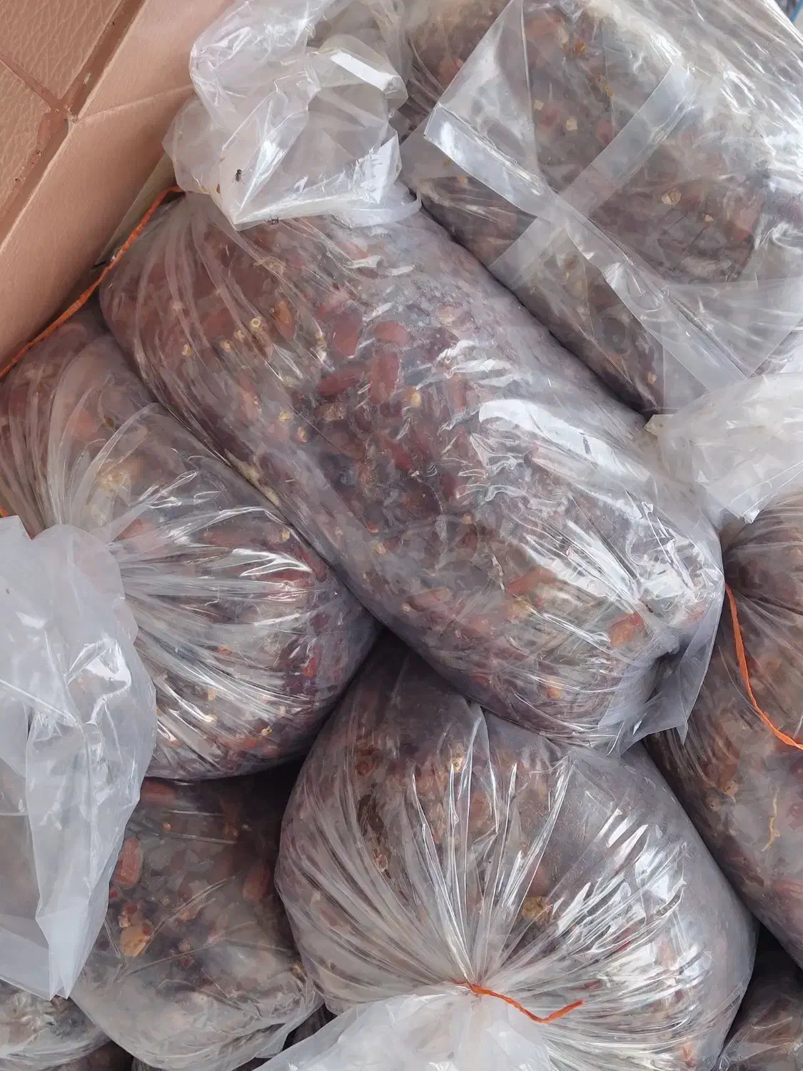 خرمای تخصصی آبگیری|عمده‌فروشی|تهران, قزل قلعه|دیوار