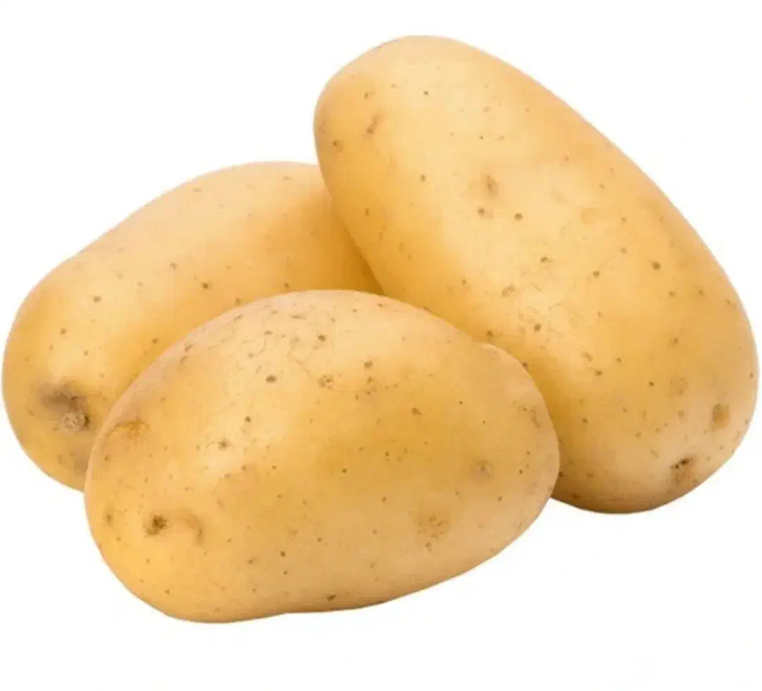 سیب زمینی بذری فروشی|حراج|جیرفت, |دیوار