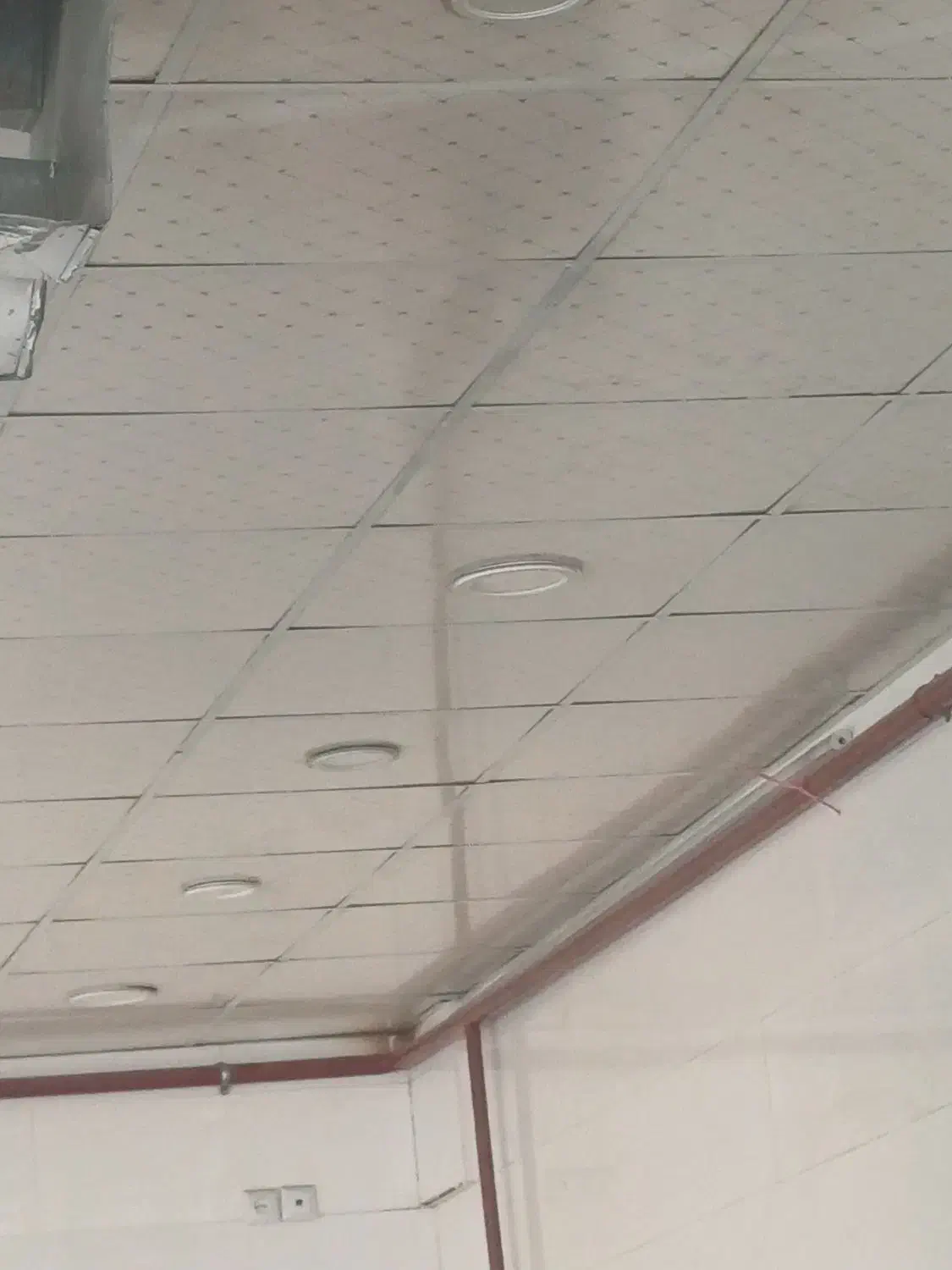 تعداد ۲۰ عدد لامپ هالوژن سقفی تو کار|لامپ و چراغ|نیشابور, دارایی|دیوار