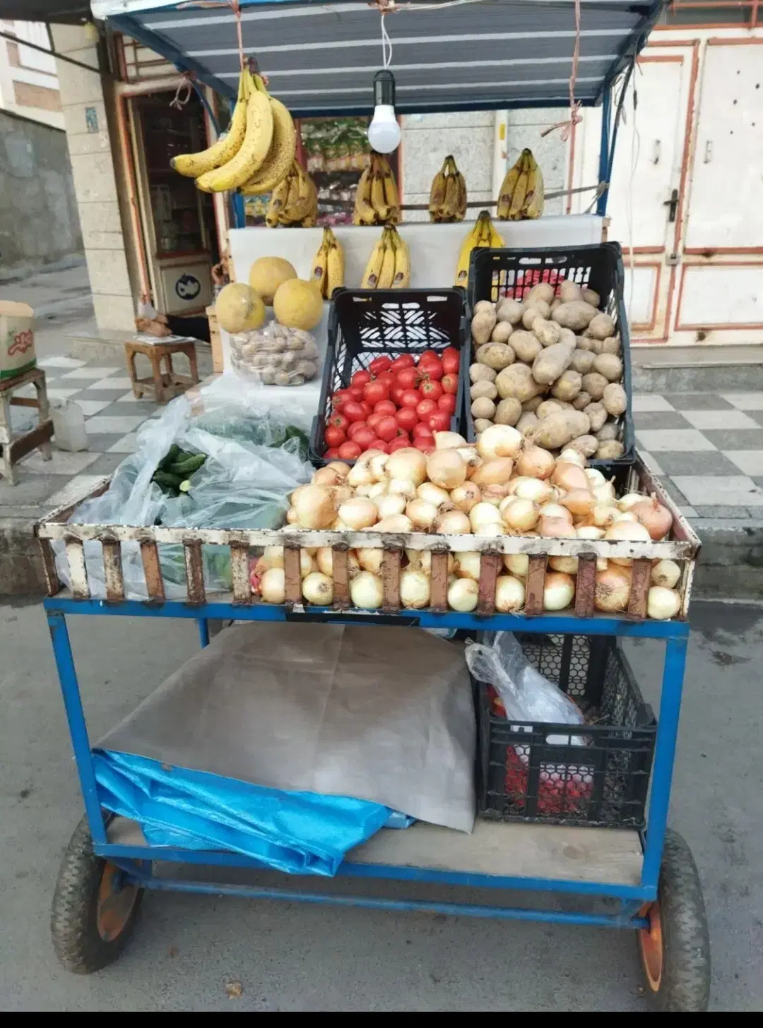 گاری|فروشگاه و مغازه|گنبد کاووس, |دیوار
