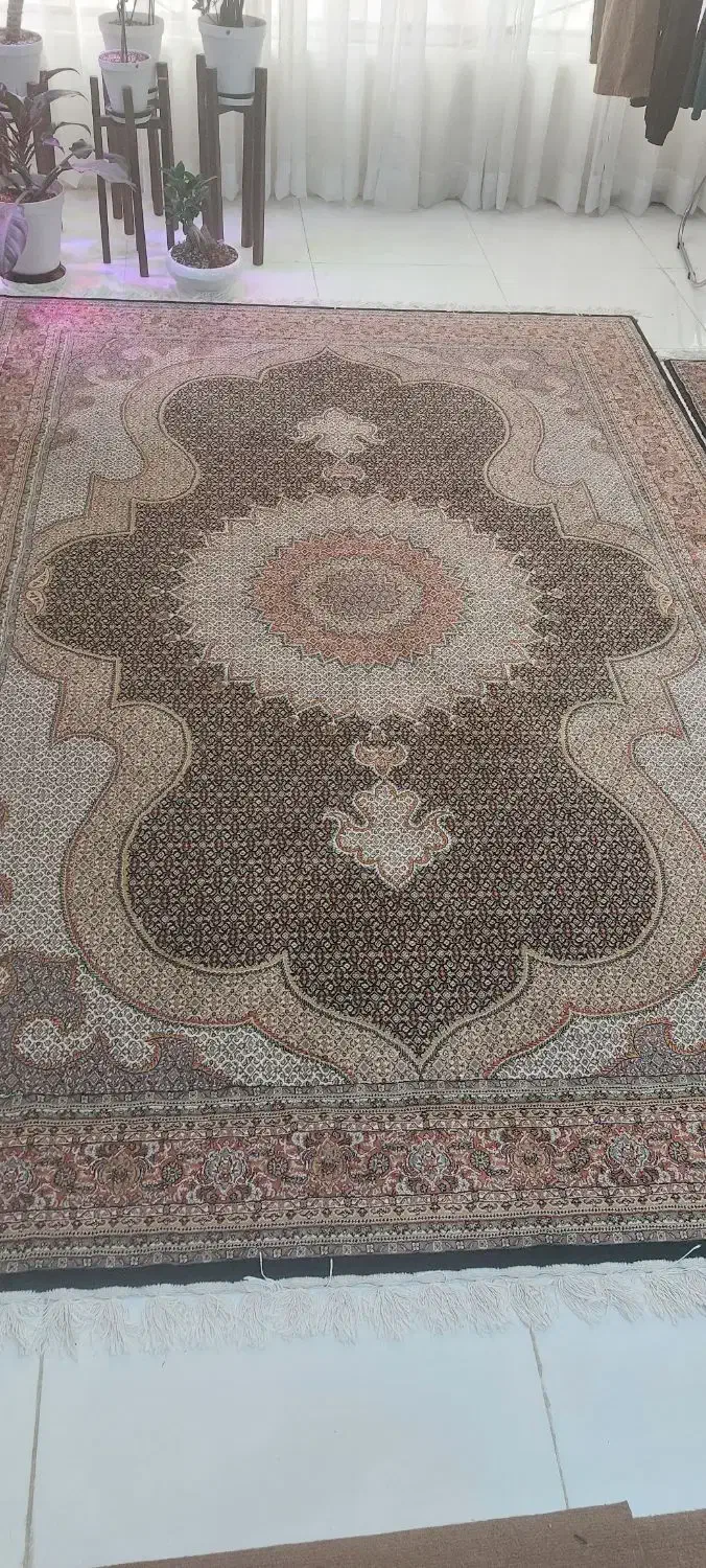 شاه ماهی ماهریس|فرش|اهواز, زیتون کارمندی|دیوار