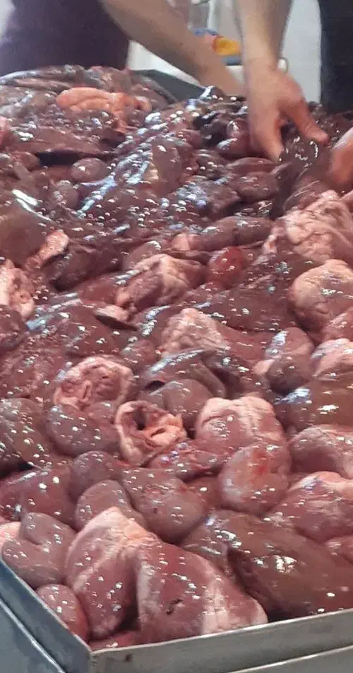 پخش جیگر|خوردنی و آشامیدنی|قم, قلعه کامکار|دیوار