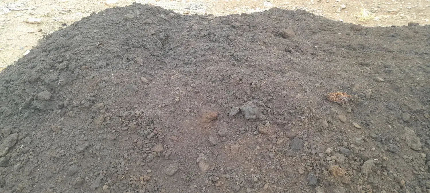 فروش کود حیوانی عالی|خدمات باغبانی و درختکاری|کنگاور, |دیوار