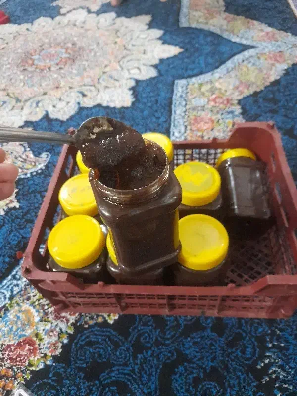 فروش رب گوجه خانگی رب انار ترش و ترشی لیته خانگی|خوردنی و آشامیدنی|لاهیجان, لیل|دیوار