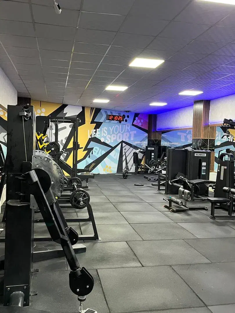 فروش تجهیزات بدنسازی|تجهیزات ورزشی|رشت, کاکتوس|دیوار