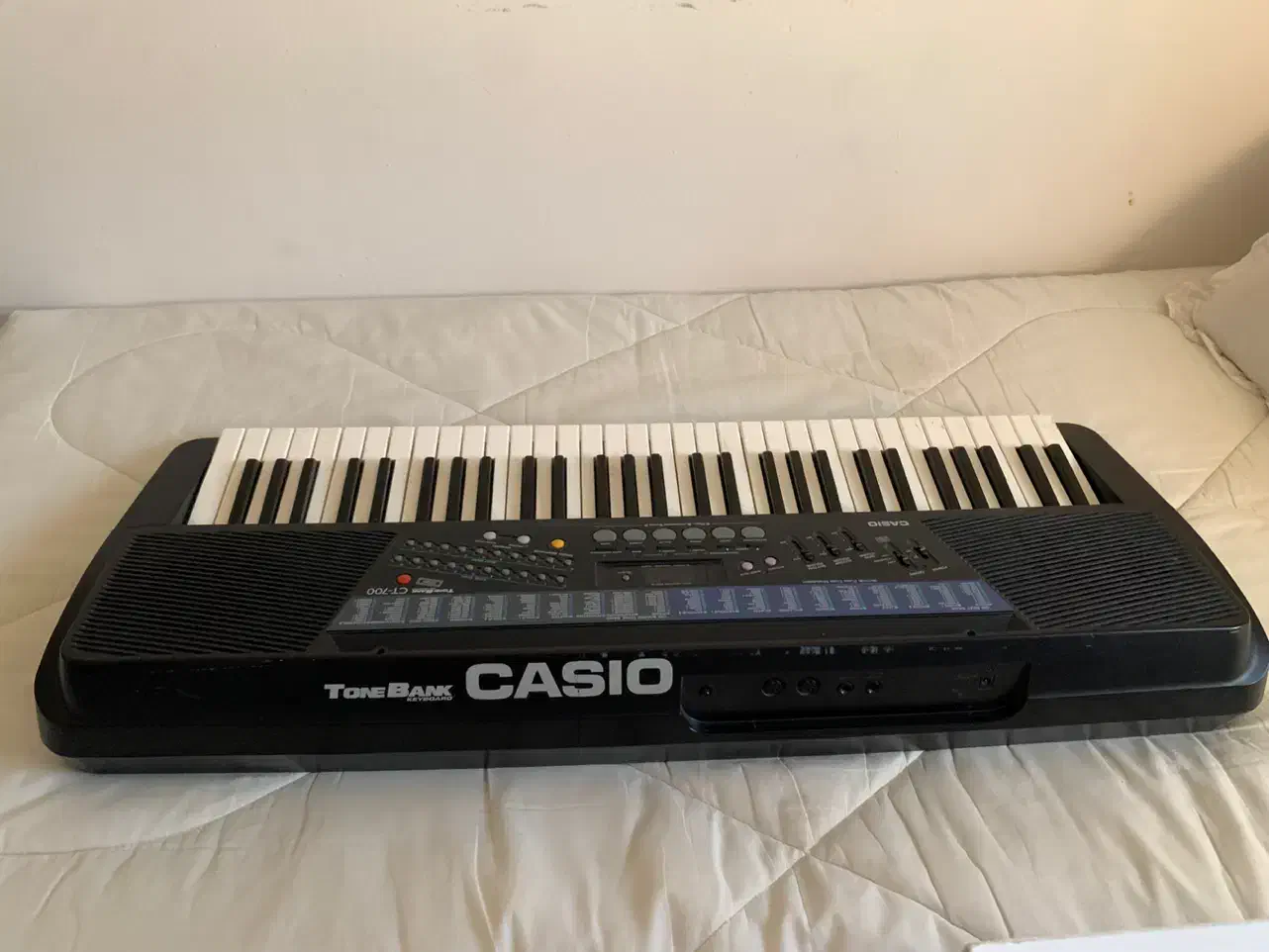 پیانو( کیبورد) کاسیو|پیانو، کیبورد، آکاردئون|بوشهر, |دیوار