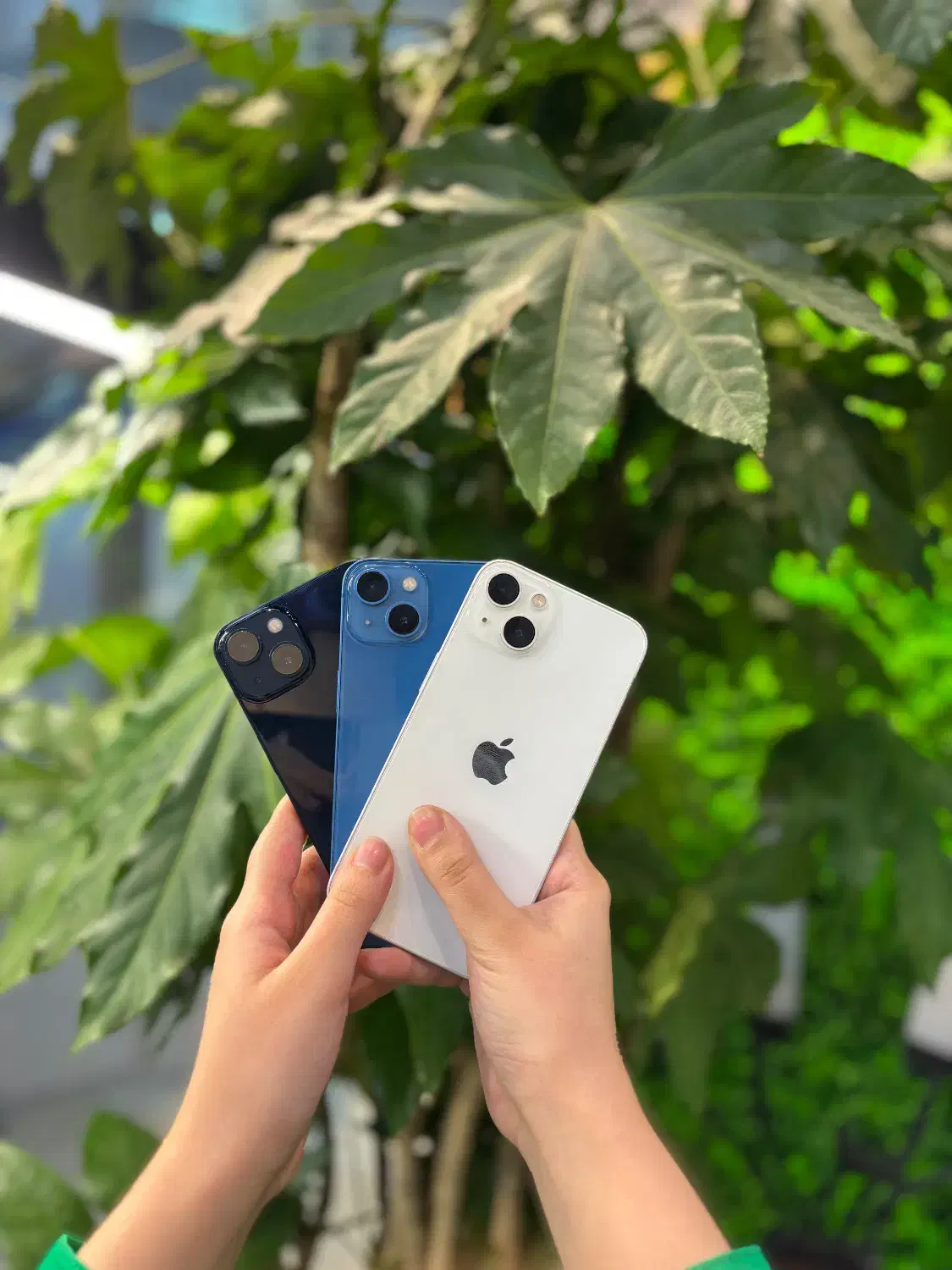 آیفون ۱۳ نرمال|موبایل|تهران, شهرک پردیسان|دیوار