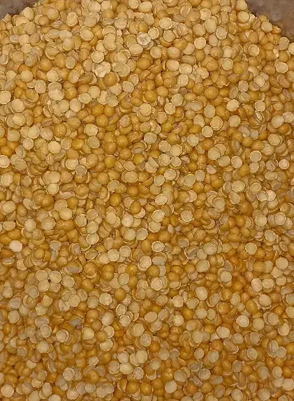 حبوبات ، نخود ، عدس ، لوبیا چیتی هندی|خوردنی و آشامیدنی|تربتحیدریه, آغوی|دیوار