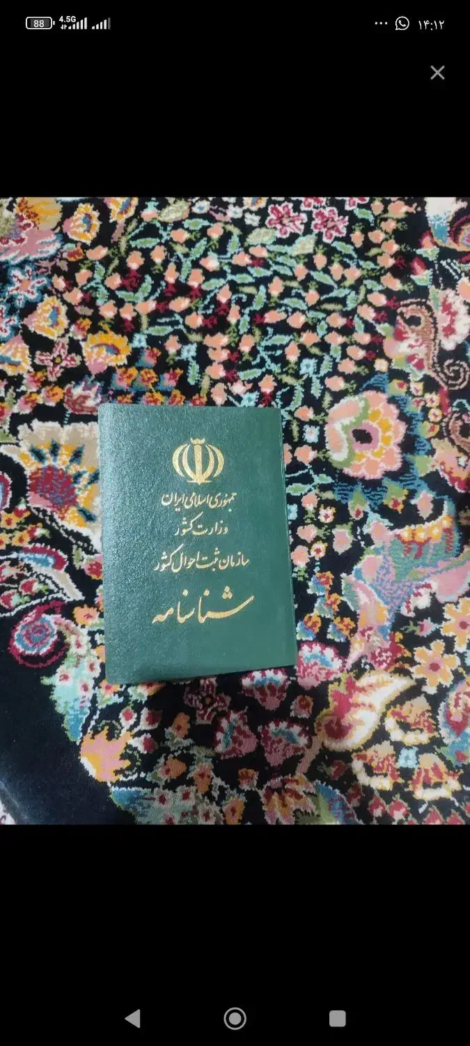 شناسنامه گم کردم به نام ملودی اسمعیل زهی|اشیا|کورین, |دیوار