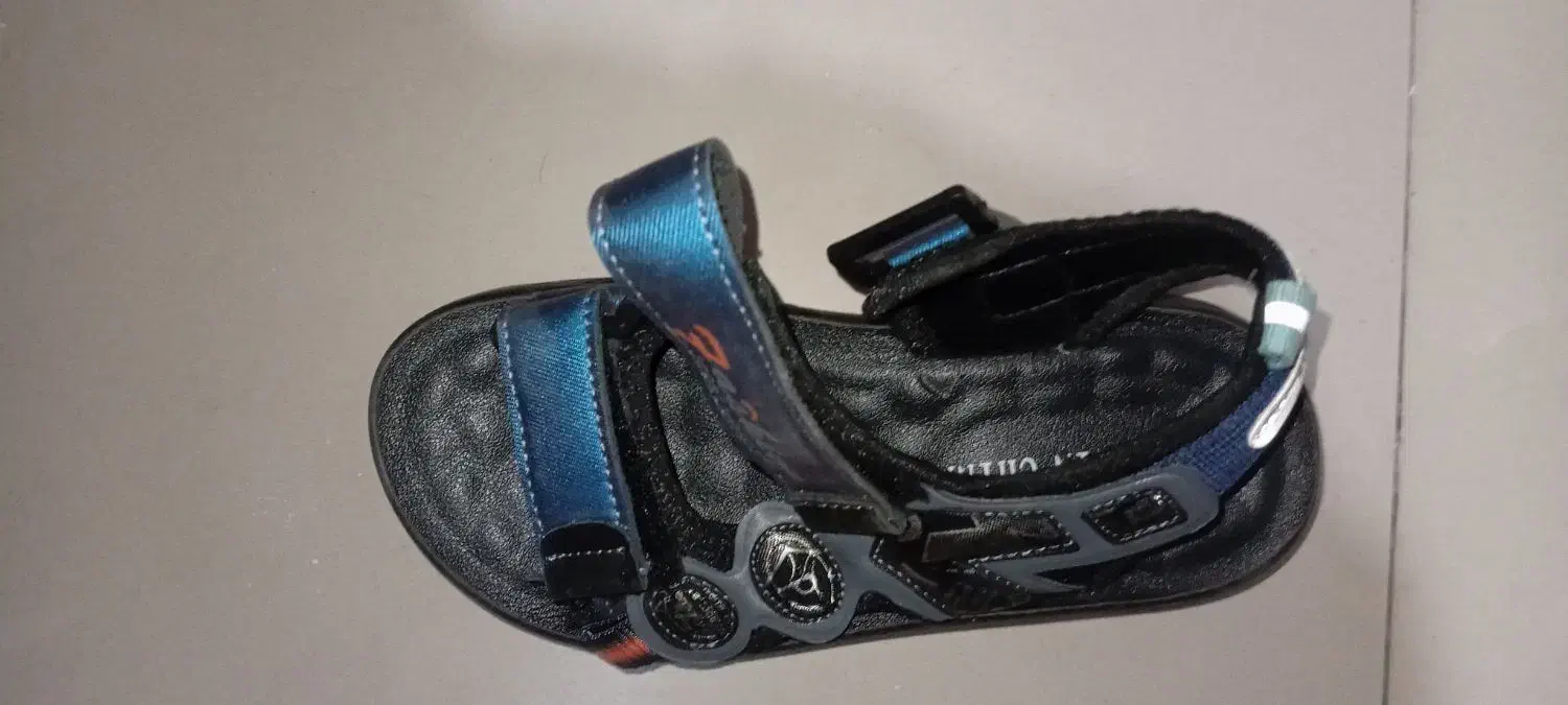 کفش|کیف، کفش، کمربند|مشهد, تربیت (صدف)|دیوار