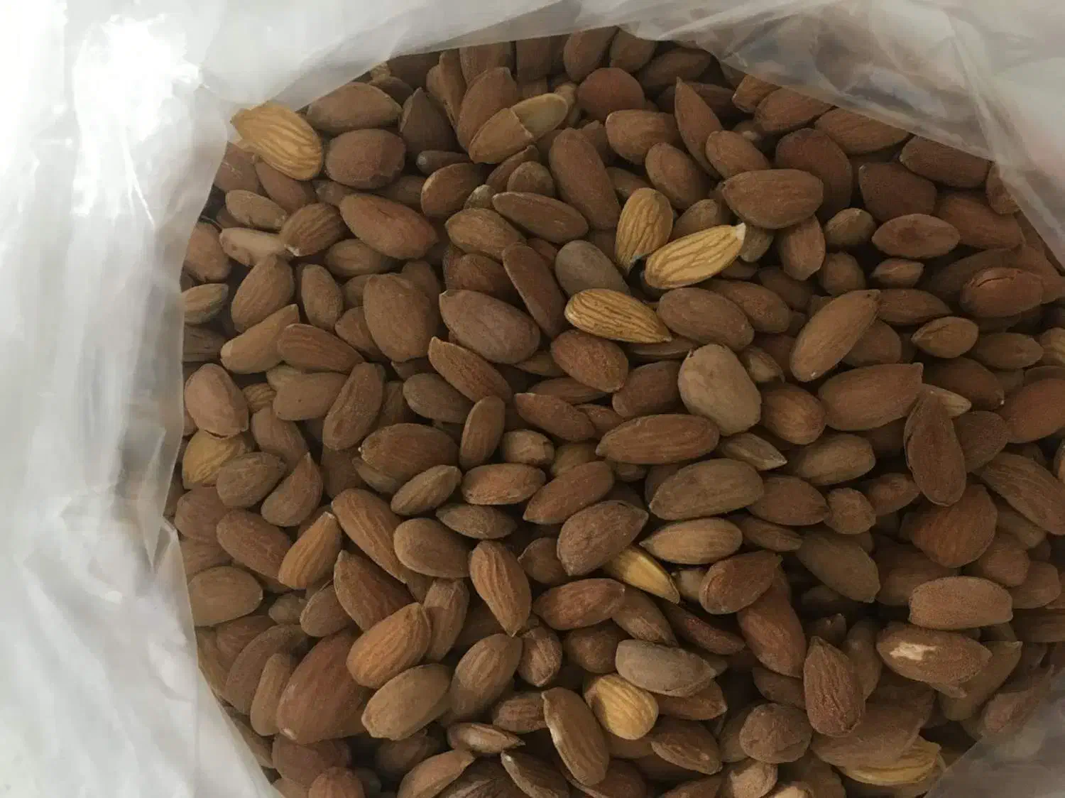 مغز بادام کوهی (الوک) شیرین شده|خوردنی و آشامیدنی|شیراز, شهرک ایثار|دیوار