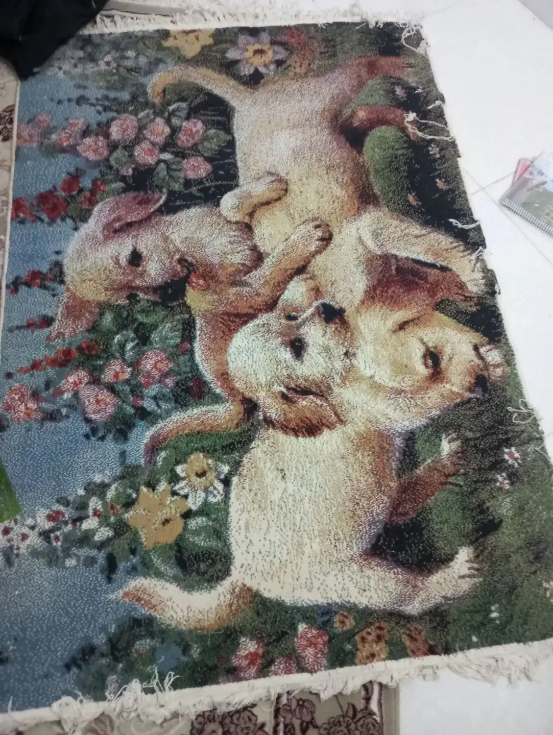 فرش 6متری|فرش|زاهدان, |دیوار