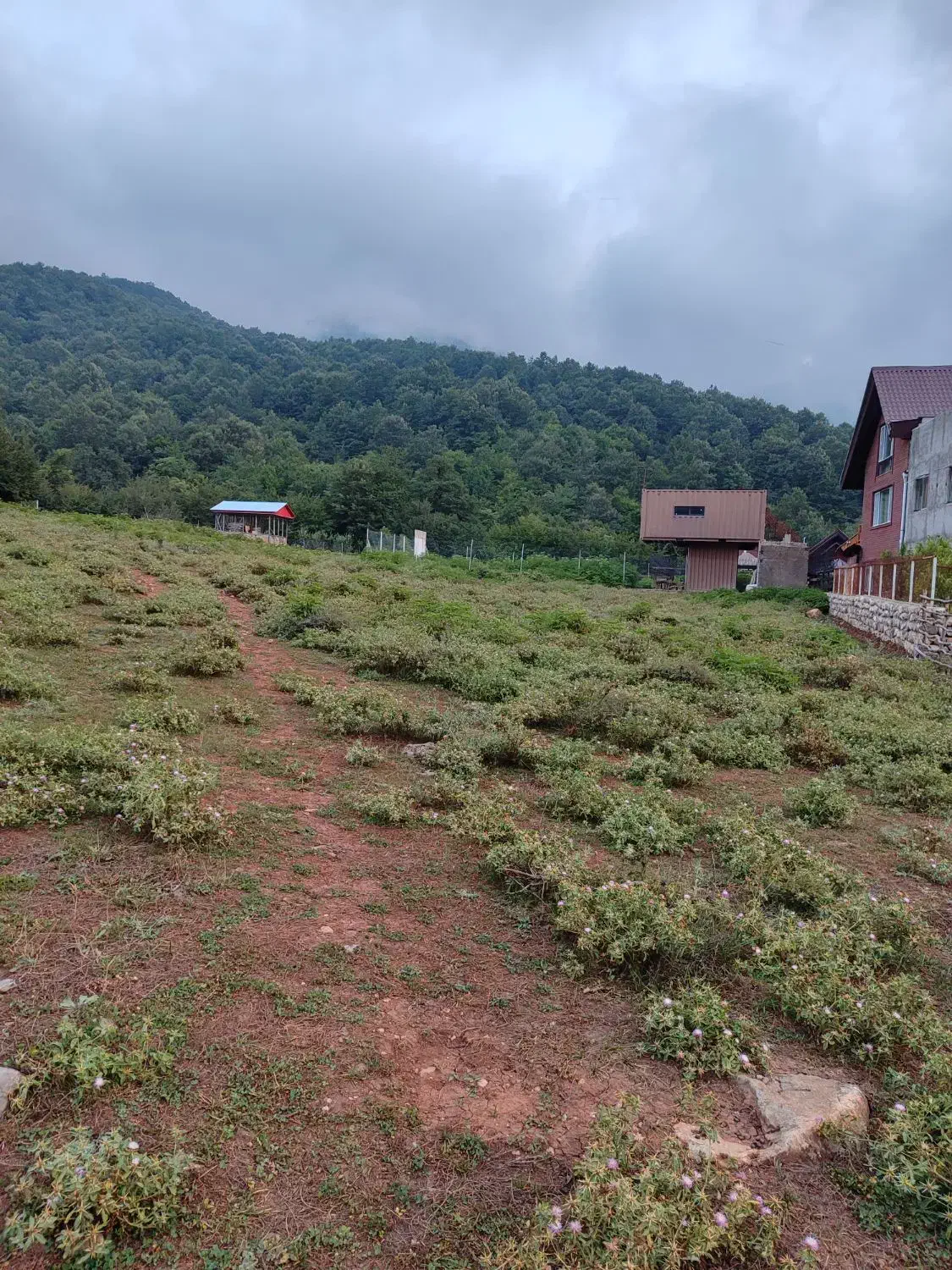 زمین مسکونی توی بافت روستا،واقع درروستای بالاچلی|فروش زمین و ملک کلنگی|فاضل آباد, |دیوار