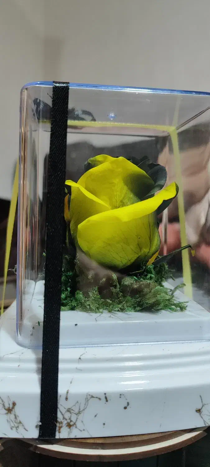 جلو مبلی سالم|مبلمان خانگی و میز عسلی|رشت, شهرک قدس|دیوار