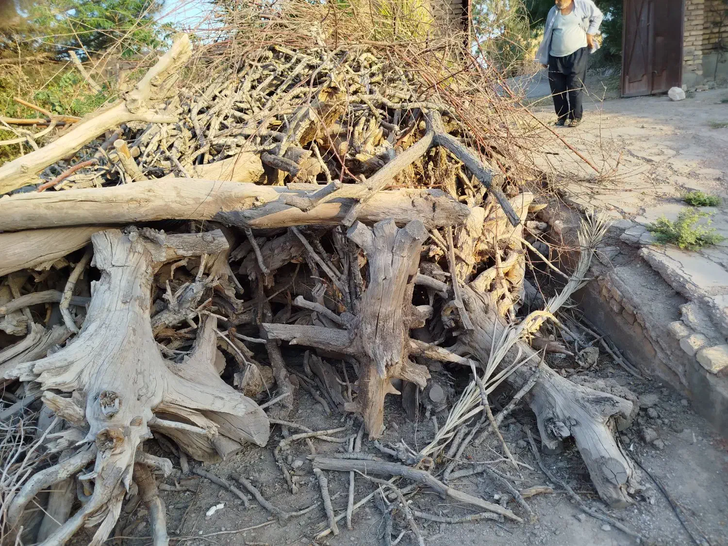 فروش کنده در سیریز زرند|فعالیت داوطلبانه|زرند, |دیوار