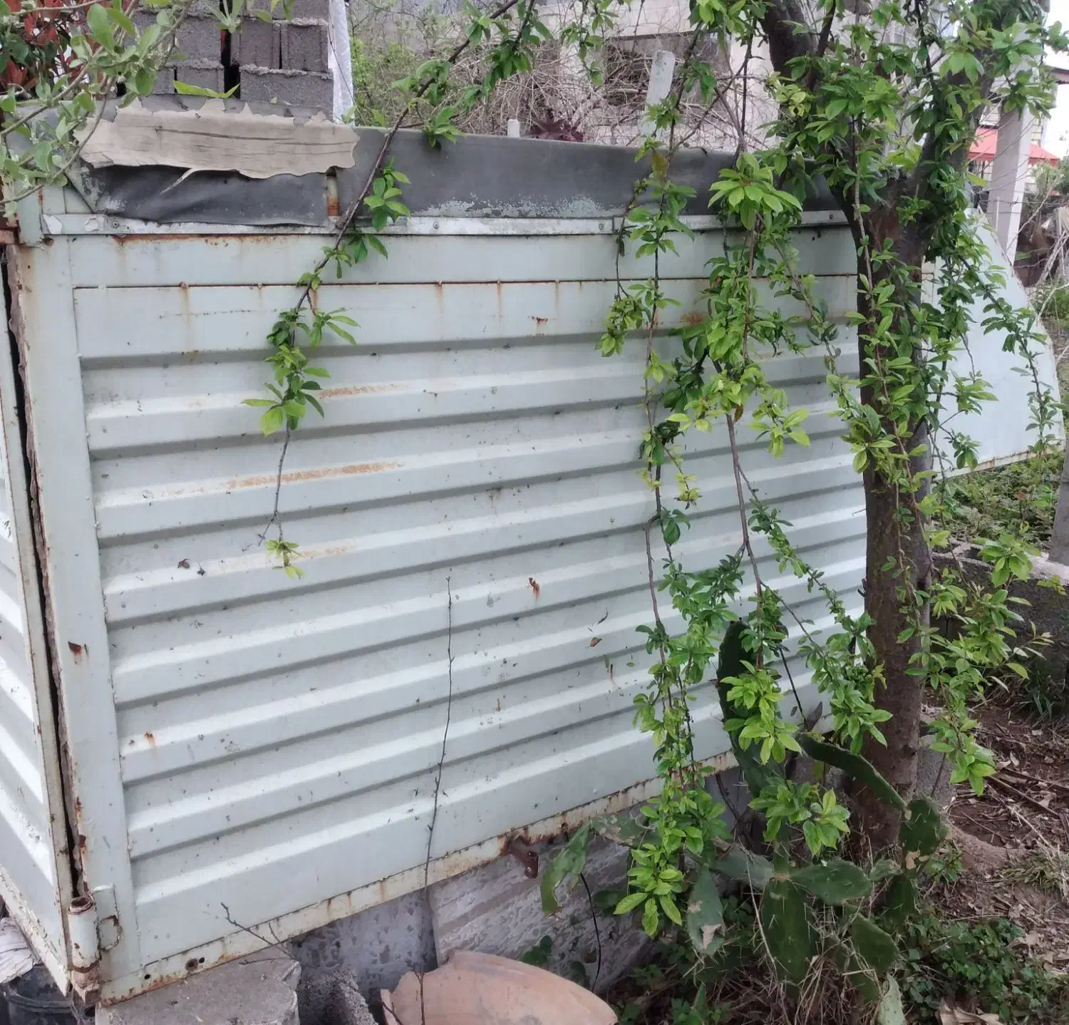 وسایل در حد نو|حراج|رشت, پیله داربن|دیوار