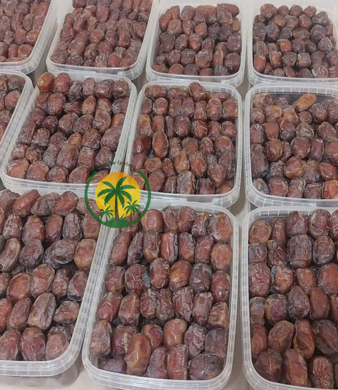 خرماسرا سادات|خوردنی و آشامیدنی|تهران, جوادیه تهرانپارس|دیوار