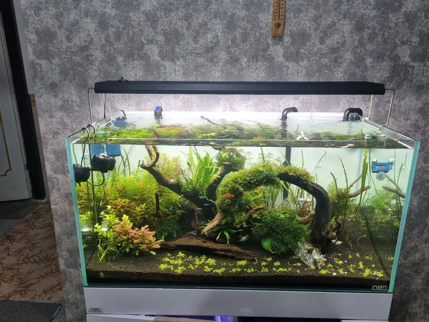 ال ای. دی حرفه ای ats|ماهی|اهواز, اسماعیلیه|دیوار