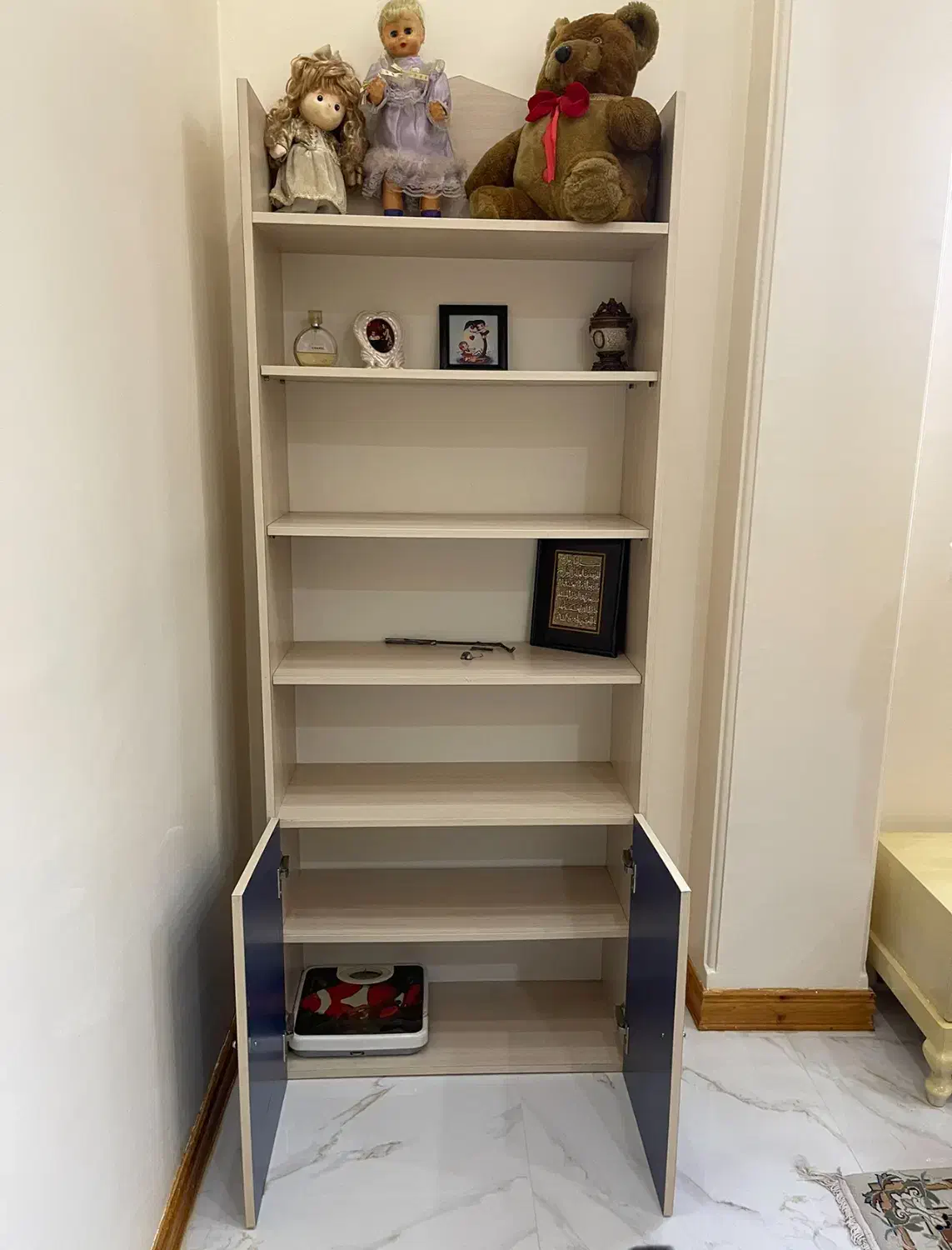 کتابخانه سالم|کتابخانه، شلف، قفسههای دیواری|آمل, |دیوار