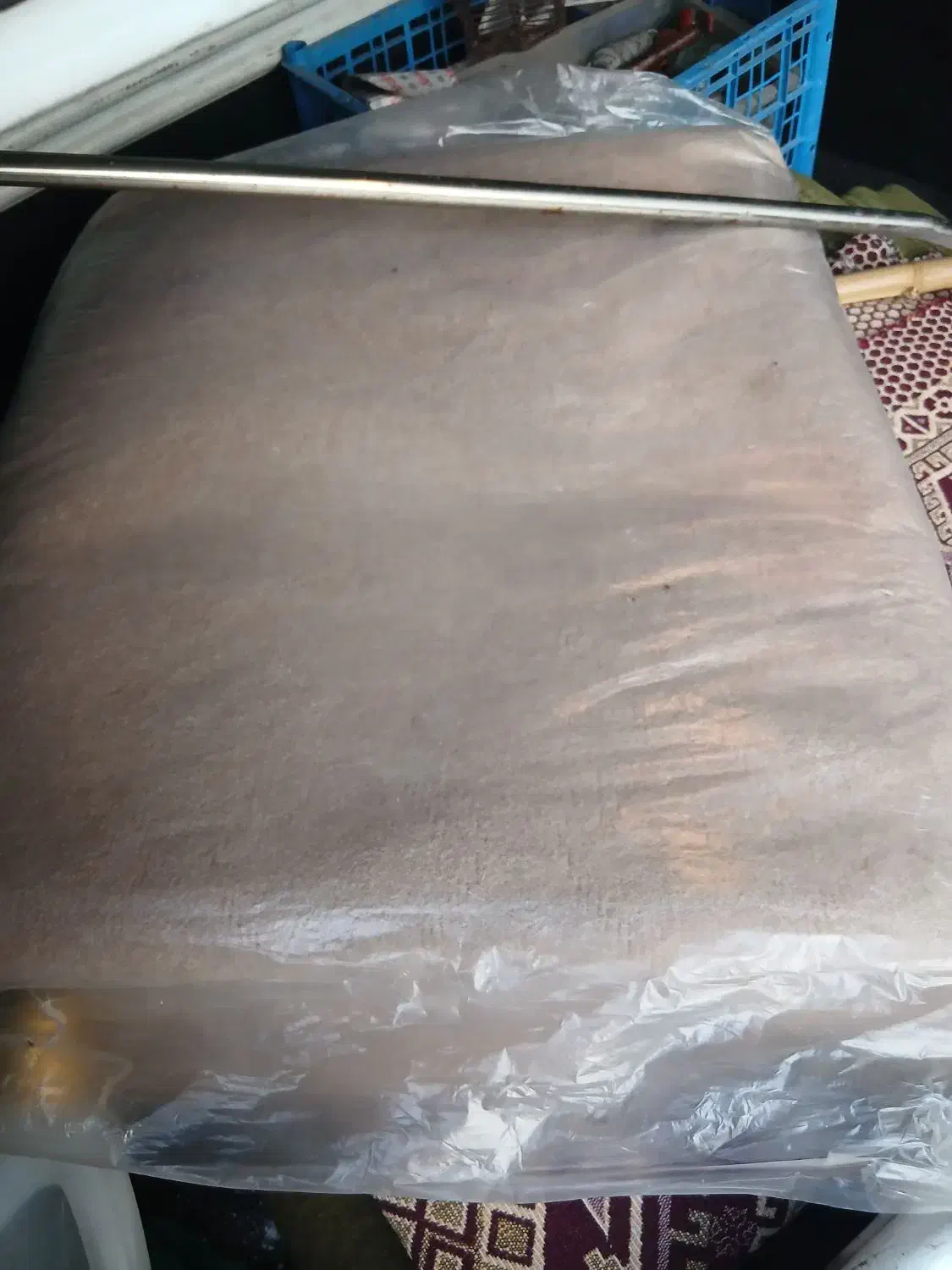 موکت|موکت|تبریز, |دیوار