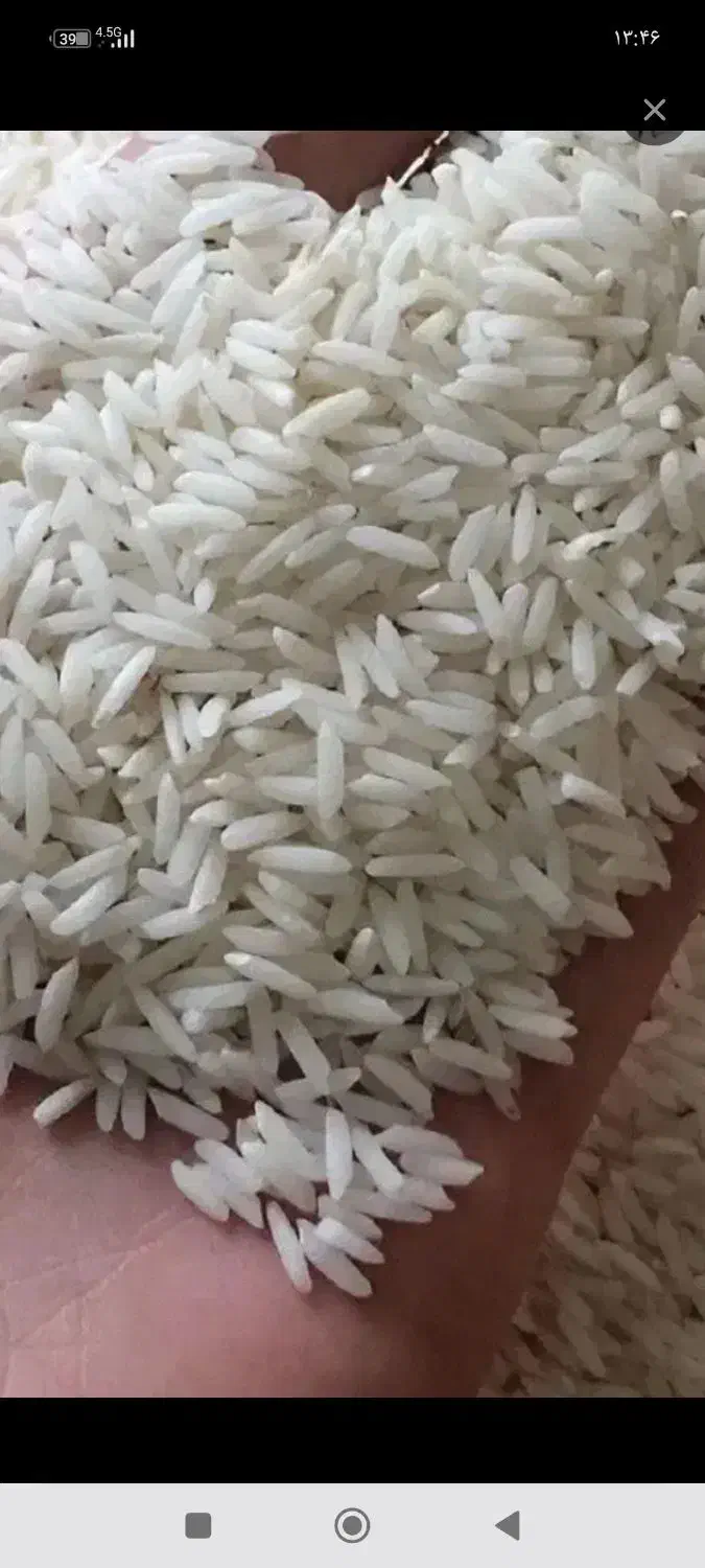 برنج ضیغمی درجه یک. 3کیلو 700 نیم دانه120|خوردنی و آشامیدنی|ایلام, |دیوار