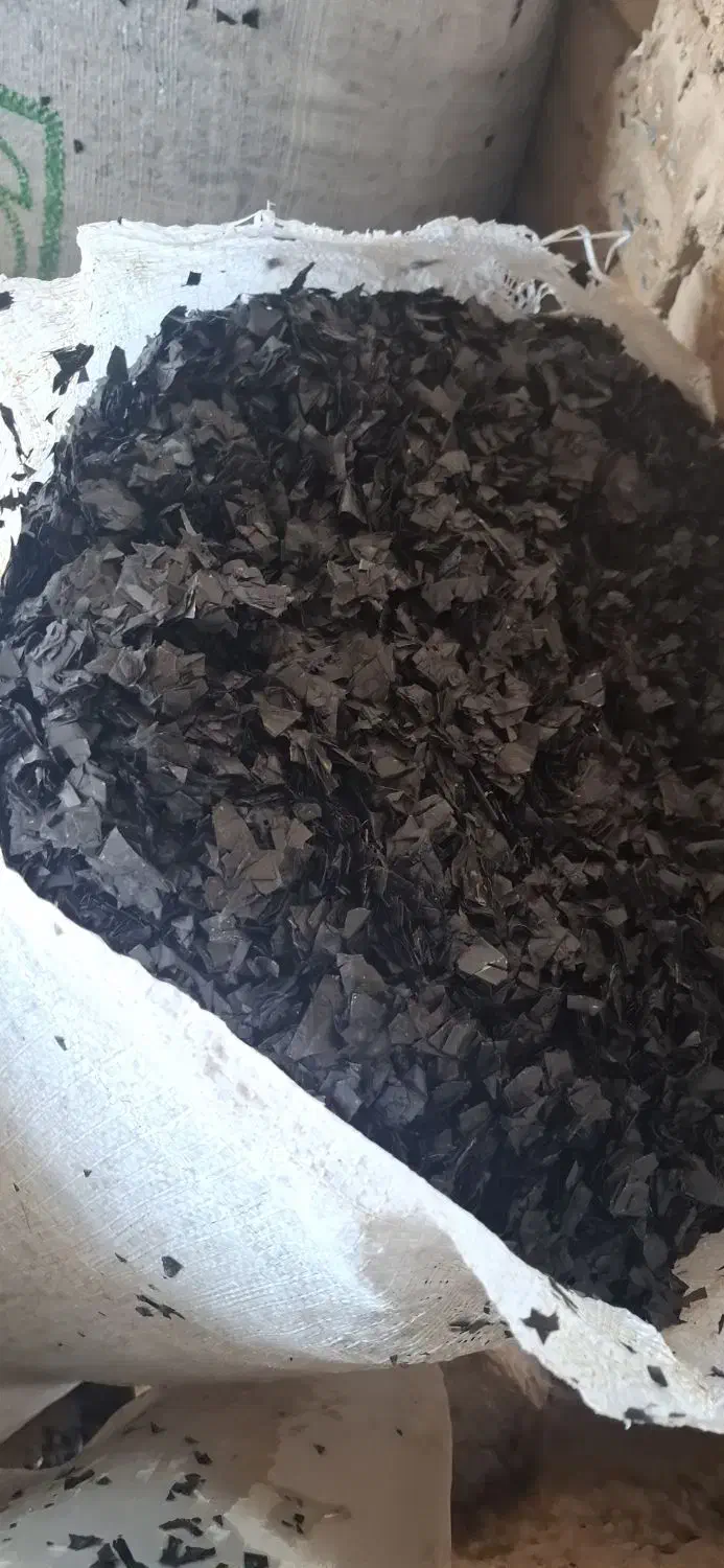 خریدار تیف زنده|عمده‌فروشی|دشتابی, |دیوار