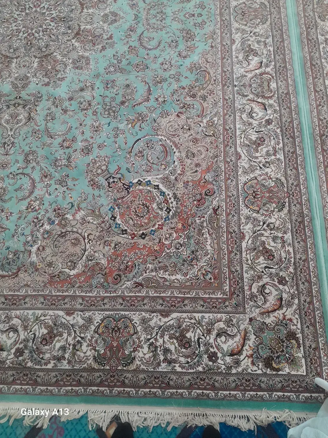 فروش دوعدد فرش فیروزه ای 700شانه تراکم 2550|فرش|مهاباد (آذربایجان غربی), |دیوار