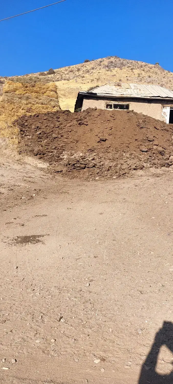 کود حیوانی(گوسفندی)|حراج|خلخال, |دیوار