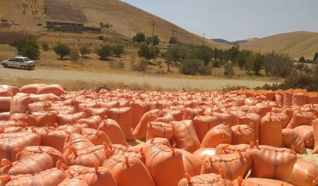 فروش عمده خوراک دام و طیور زیر قیمت بازار|عمده‌فروشی|زرندیه, |دیوار