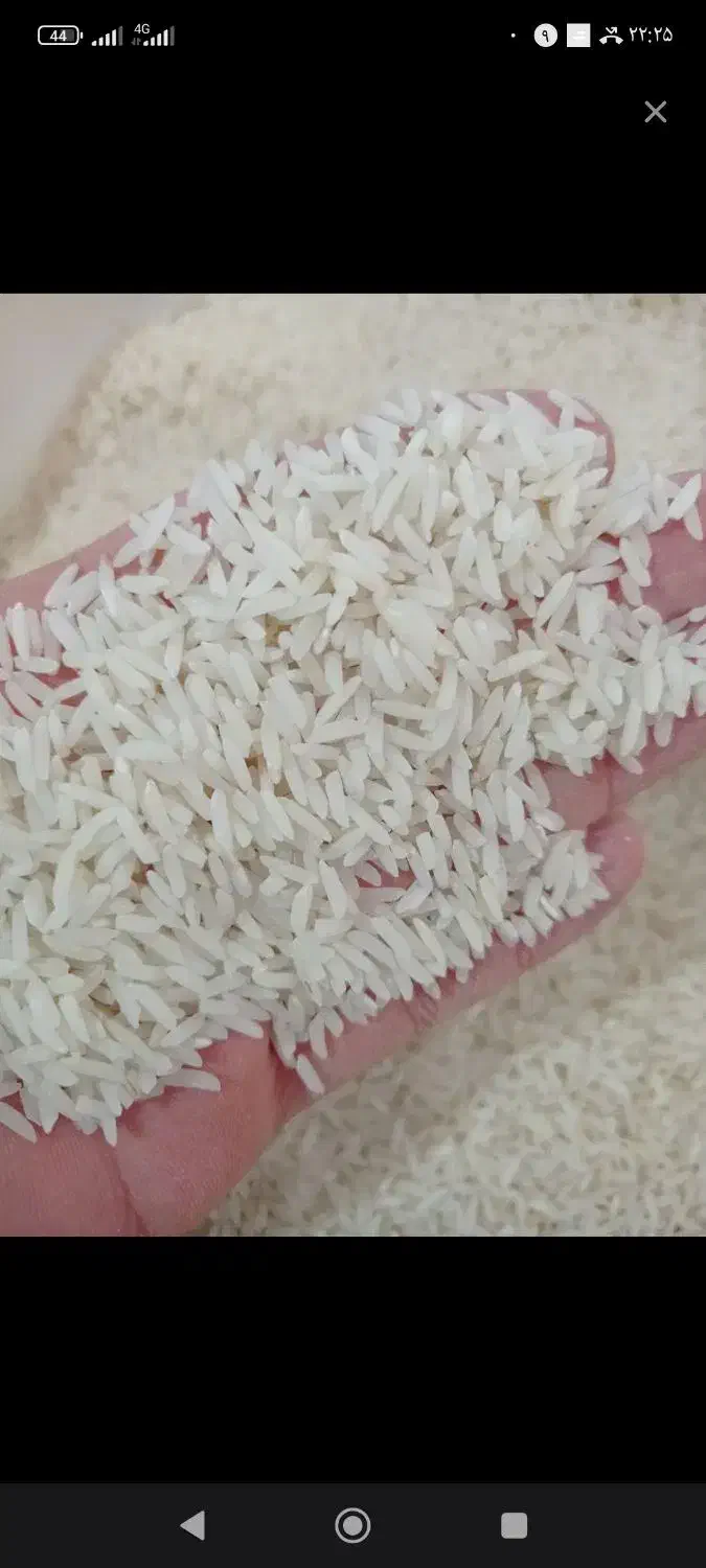 فروش برنج شمال|خوردنی و آشامیدنی|مشهد, چهارچشمه|دیوار
