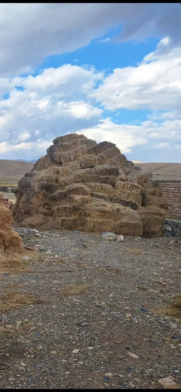 علف|عمدهفروشی|بازرگان, |دیوار