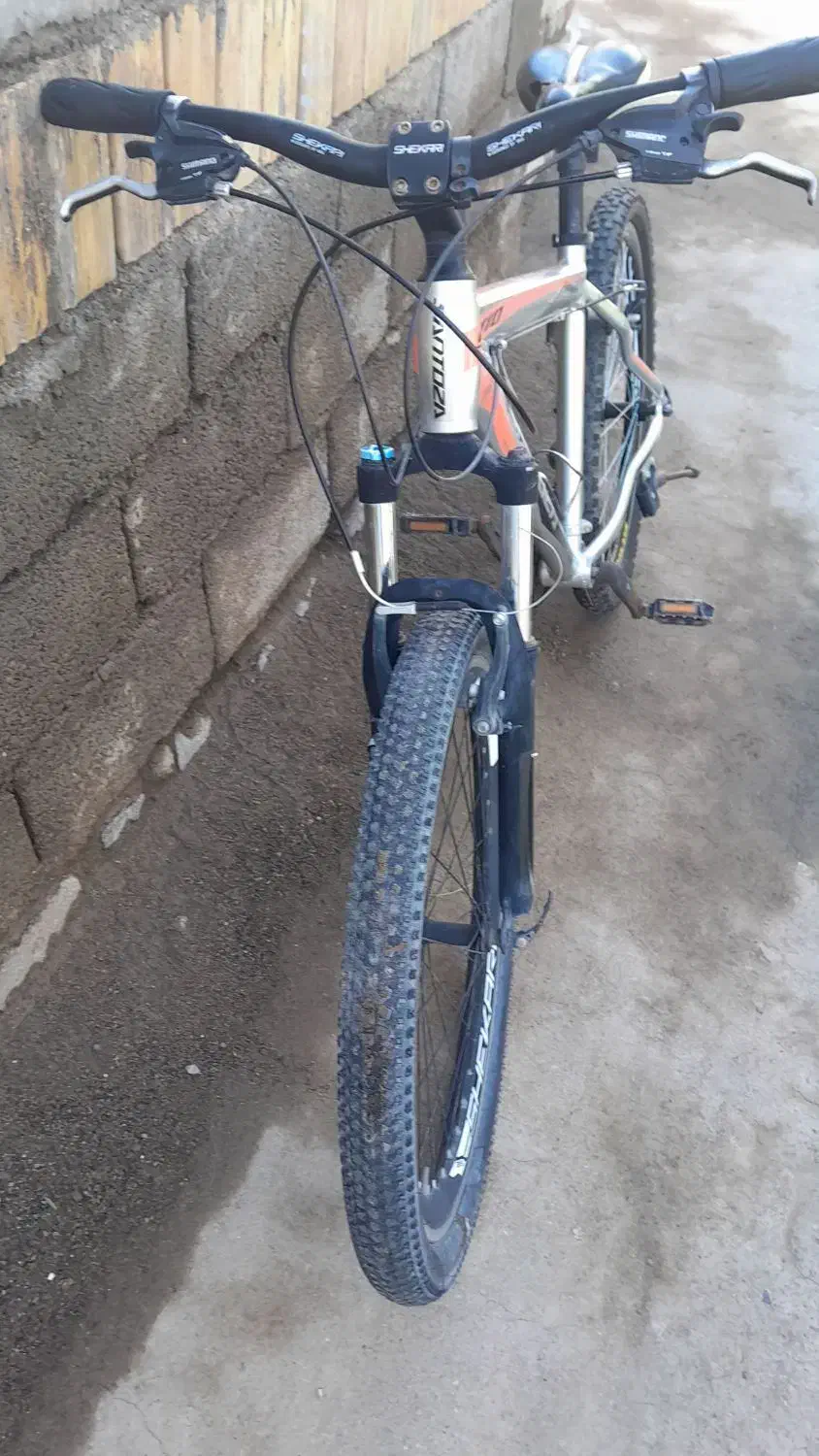 دوچرخه|دوچرخه، اسکیت، اسکوتر|ارشق, |دیوار