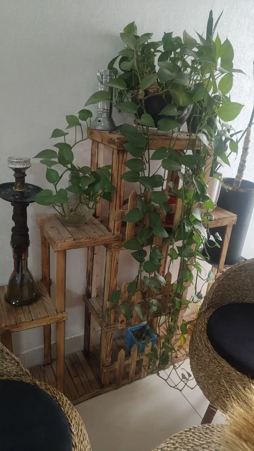 استند چوبی برا گل و گیاه|صنایع دستی و سایر لوازم تزئینی|بندر امام خمینی, |دیوار